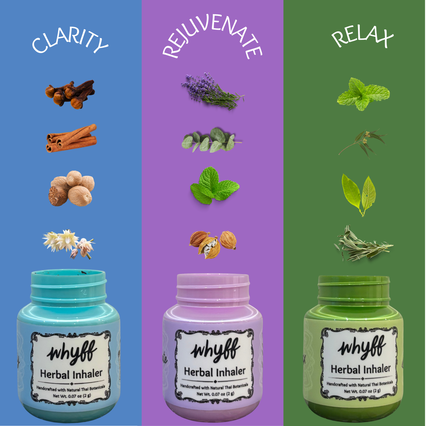 Whyff Starter Set